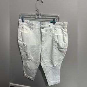 Terra & Sky Women's Plus Size  White Denim‎ Capri with Roll Cuff Women's 14W NWT